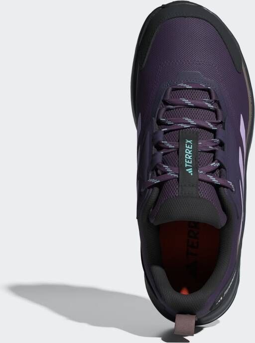 adidas Terrex Lage schoen 'Anylander'