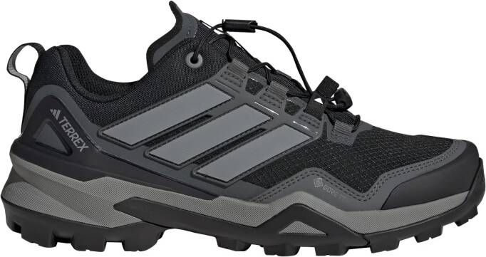 adidas Terrex Lage schoen 'Skychaser'