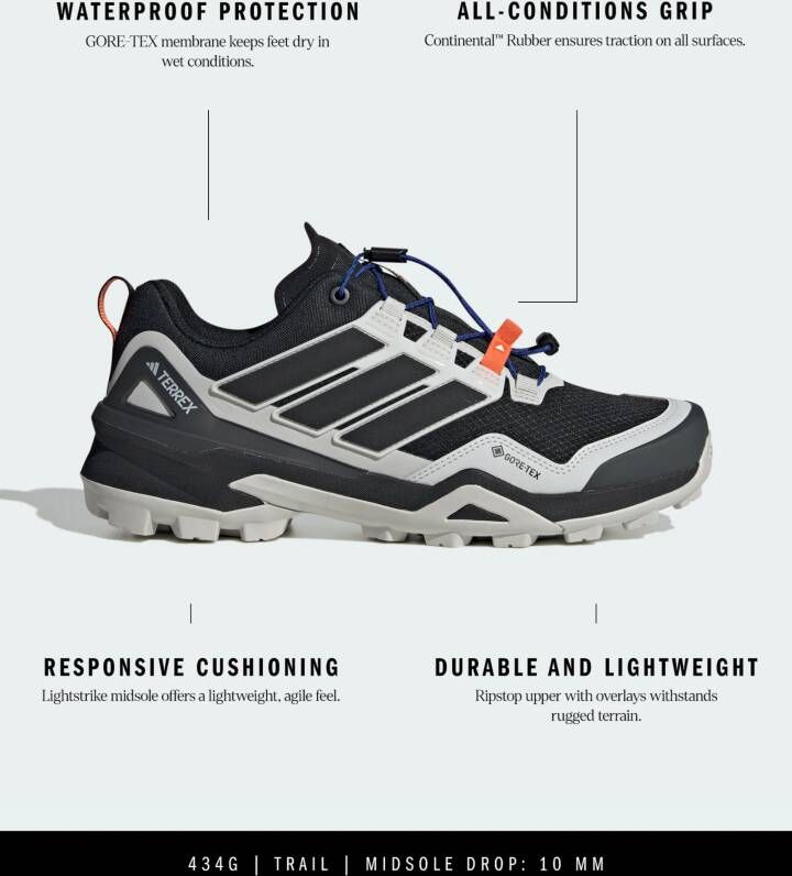 adidas Terrex Lage schoen 'Skychaser'