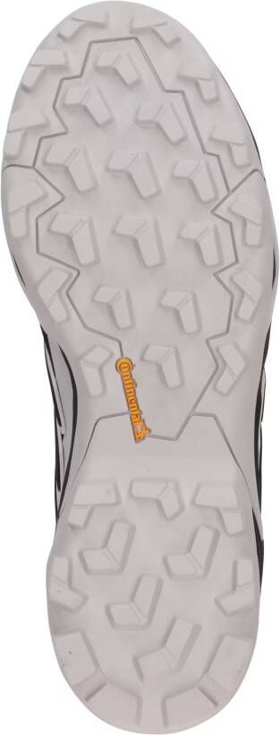 adidas Terrex Lage schoen 'Skychaser'