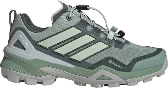 adidas Terrex Lage schoen 'Skychaser'