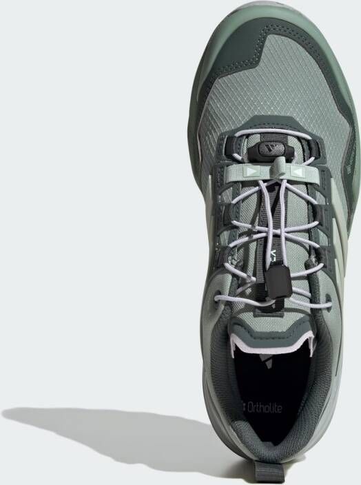 adidas Terrex Lage schoen 'Skychaser'