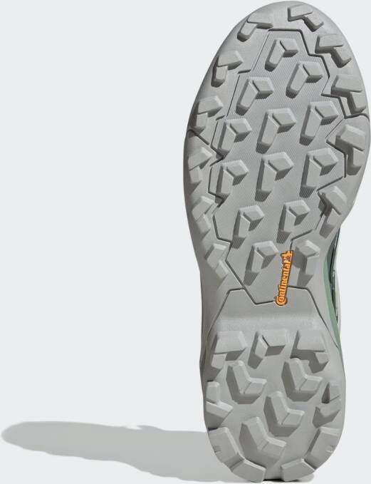 adidas Terrex Lage schoen 'Skychaser'