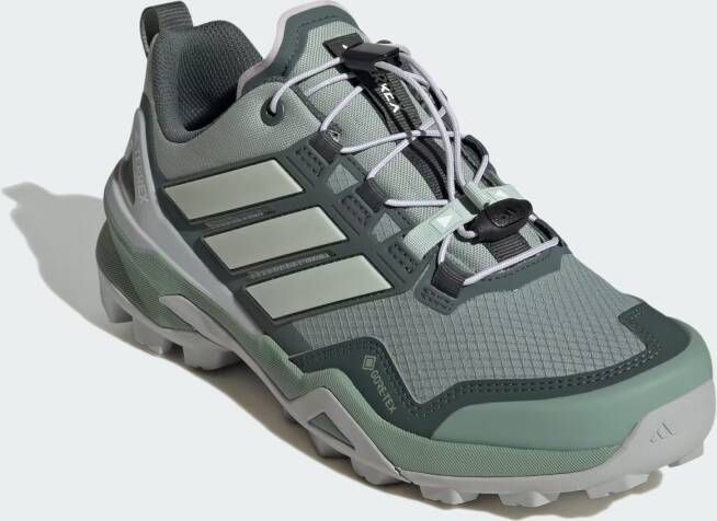 adidas Terrex Lage schoen 'Skychaser'