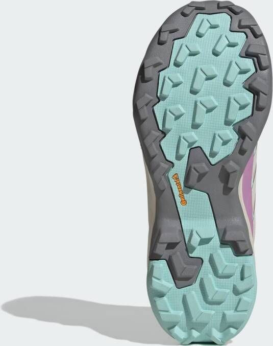 adidas Terrex Lage schoen 'Skychaser'