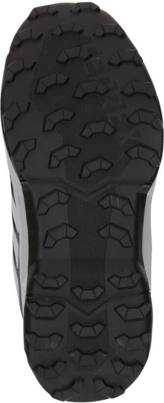 adidas Terrex Lage schoen