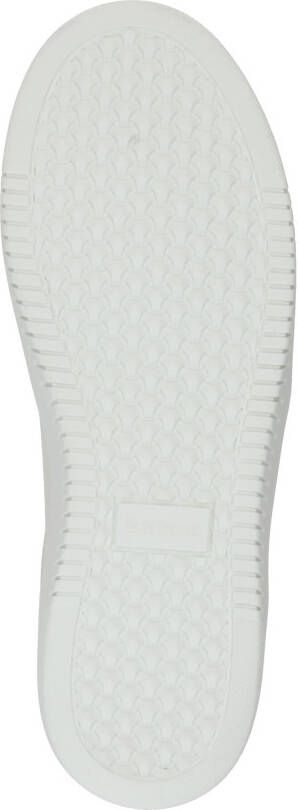 Barbour Sneakers laag 'Celeste'