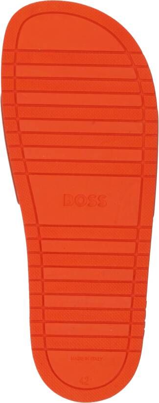 Boss Muiltjes 'Aryeh_Slid'