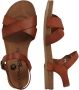 COSMOS COMFORT sandalen met riem Kastanjebruin - Thumbnail 2