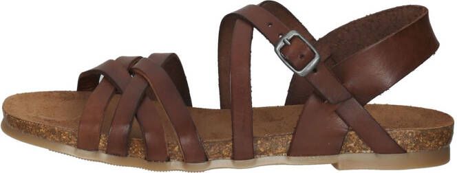 COSMOS COMFORT Sandalen met riem