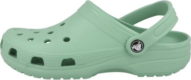 Crocs Clogs