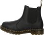 Dr.Martens Laarzen 2976 Virginia Streetwear Volwassen - Thumbnail 2