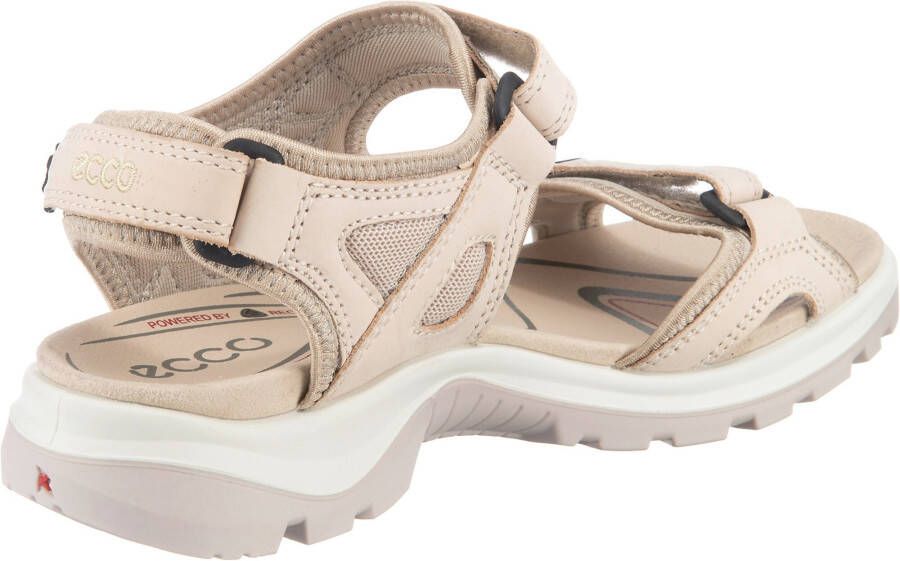 Scholl Noelle Raffia Sandalen bruin Synthetisch Dames - Foto 6