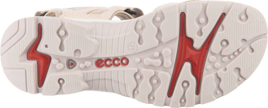 Scholl Noelle Raffia Sandalen bruin Synthetisch Dames - Foto 8