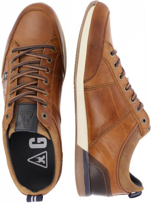 Gaastra Sneakers in bruin voor Heren grootte: 45