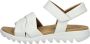 Gabor Sandalen zomerschoen wedge-sandaal comfort-schoen met klittenbandsluiting - Thumbnail 10