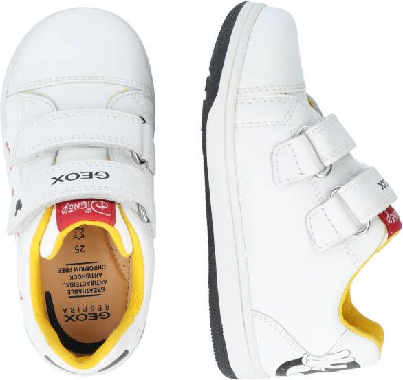 Geox Sneakers