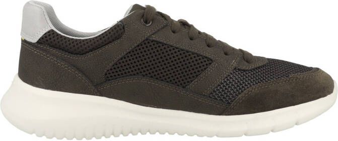 Geox Sneakers laag