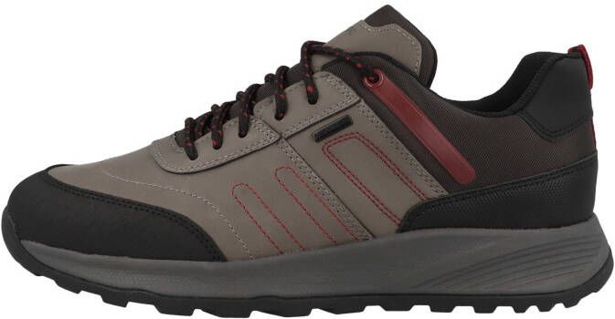Geox Sneakers laag 'Terrestre'