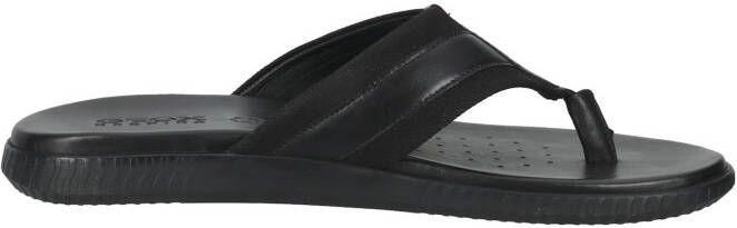 Geox Teenslippers - Schoenen.nl