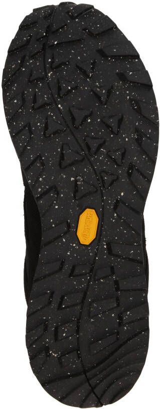 Jack Wolfskin Lage schoen 'TERRAQUEST'