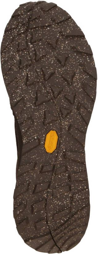 Jack Wolfskin Lage schoen 'TERRAQUEST'