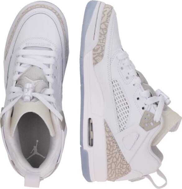 Jordan Sneakers 'Spizike'