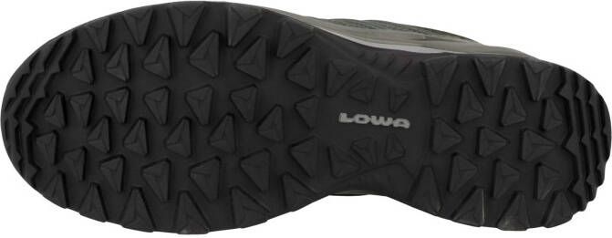 Lowa Lage schoen ' Innox Pro GTX LO '