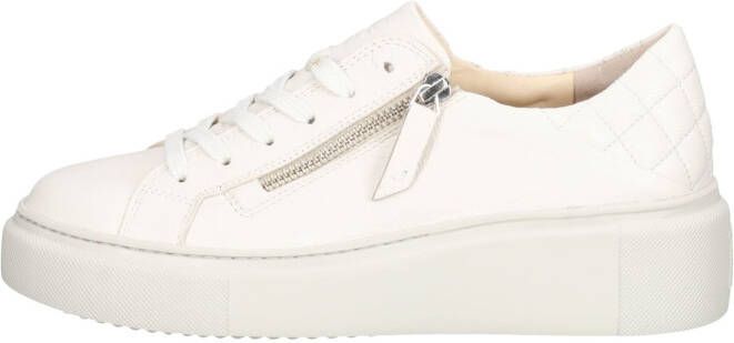 Paul Green Sneakers laag