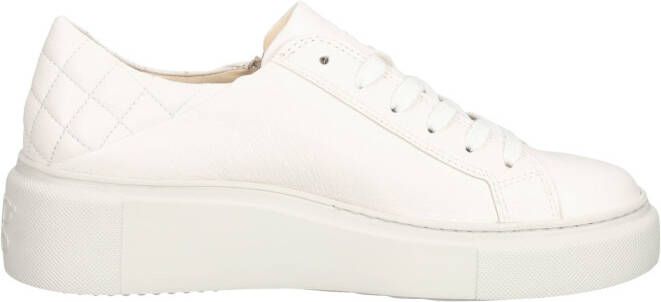 Paul Green Sneakers laag