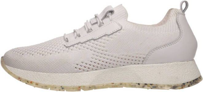 Salamander Sneakers laag
