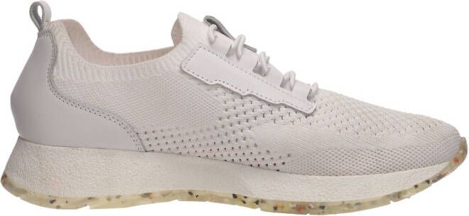 Salamander Sneakers laag