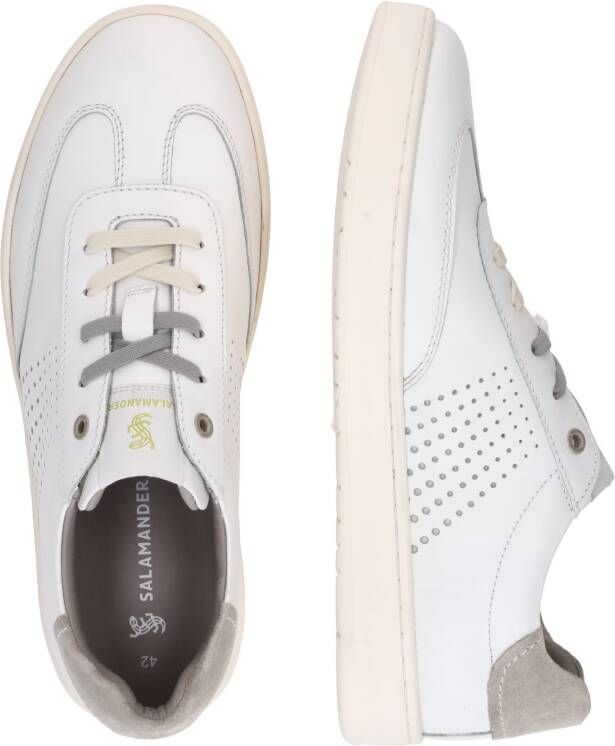 Salamander Sneakers laag