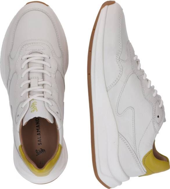 Salamander Sneakers laag