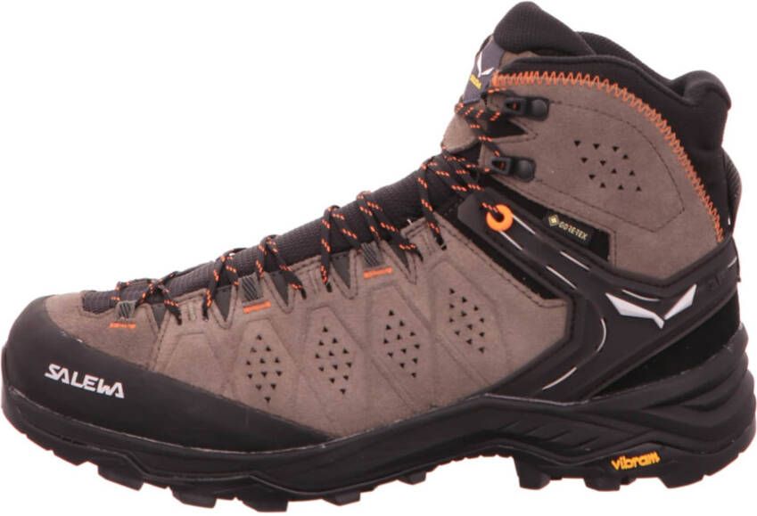 Salewa Boots 'Alp Trainer 2 GTX'