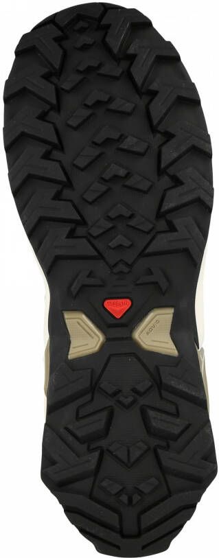 Salomon Lage schoen 'X RAISE 2'