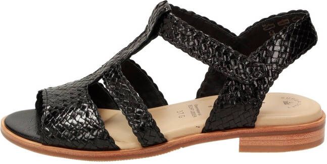 Sioux Sandaal ' Cosinda-702 '