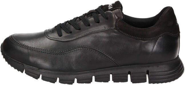 Sioux Sneakers laag