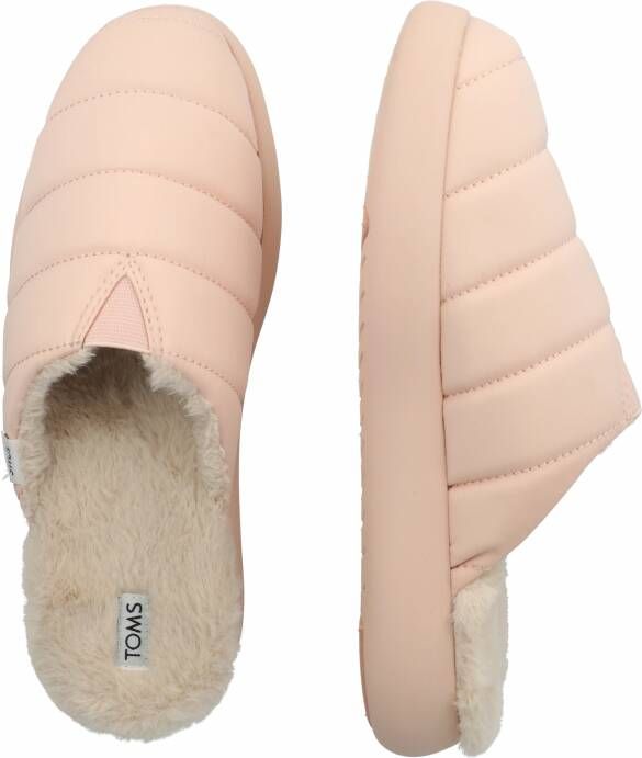 Toms muiltjes 2025