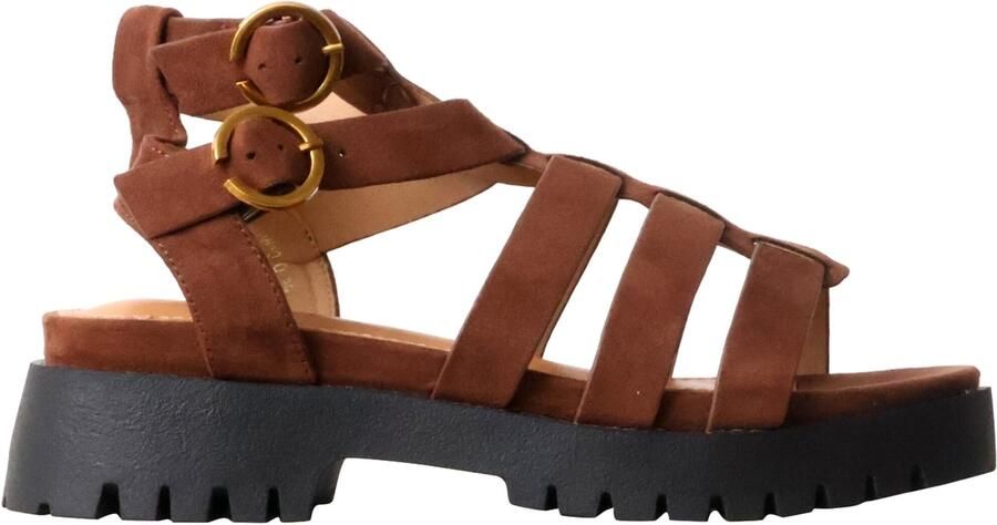 Findlay Sandaal 'Sandalen mit Riemchen' bruin
