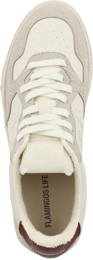 Flamingos' Life Sneakers laag ' Ventura ' lichtgrijs - Foto 6