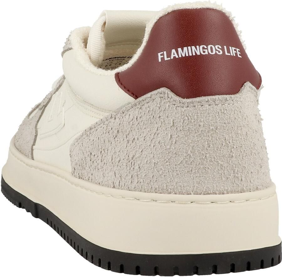 Flamingos' Life Sneakers laag ' Ventura ' lichtgrijs - Foto 2