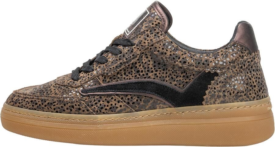 Floris van Bommel Sneakers laag 'Fygi 01' bruin zwart