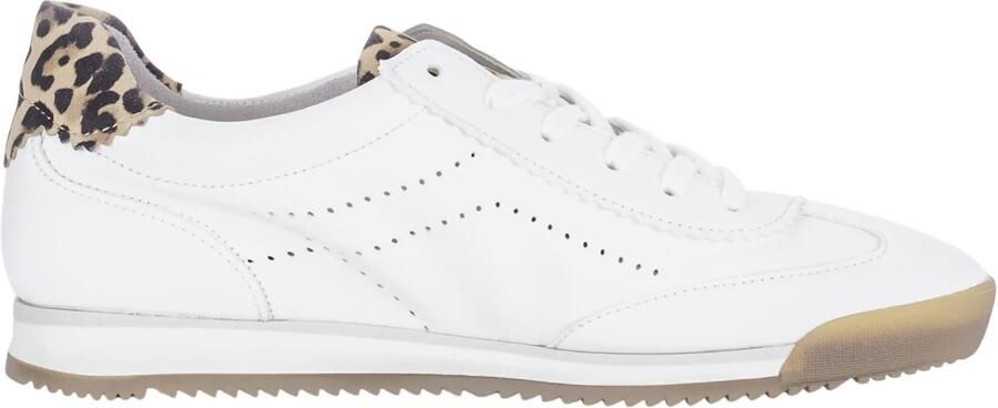 GABOR Sneakers laag '83.432' beige zwart wit - Foto 6
