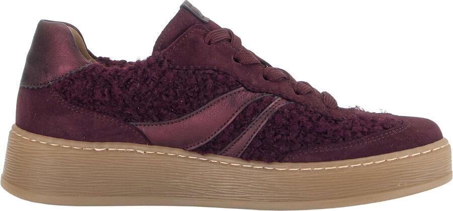 Gabor Sneaker 6018.01.008 Mulberry Teddy Wijdte G - Foto 15