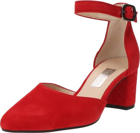 Gabor Pumps