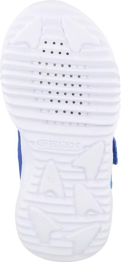 GEOX ASSISTER Sneakers KONINGSBLAUW LIMOEN - Foto 5