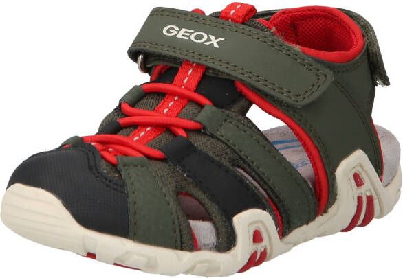 Geox Open schoenen