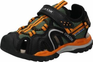 Geox Open schoenen 'Borealis'