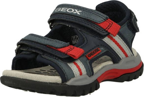 Geox Open schoenen 'BOREALIS'